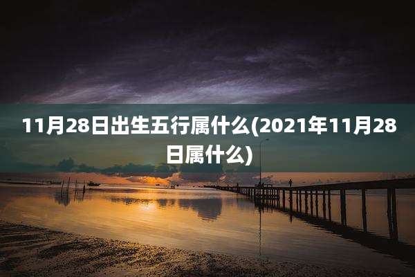 11月28日出生五行属什么(2021年11月28日属什么)