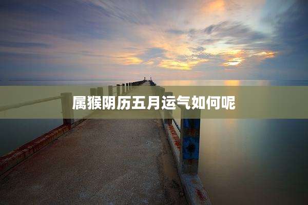 属猴阴历五月运气如何呢