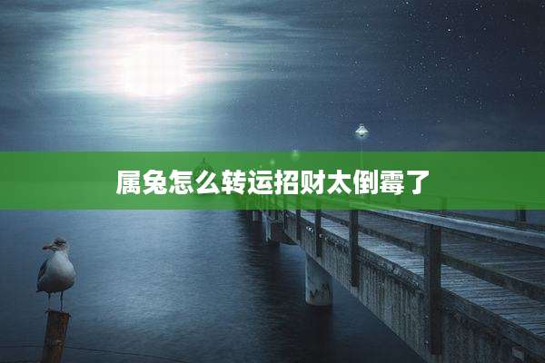 属兔怎么转运招财太倒霉了