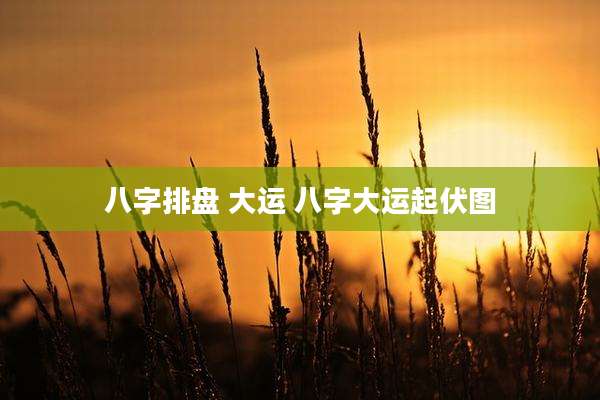 八字排盘 大运 八字大运起伏图