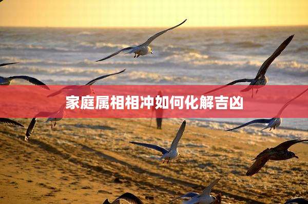 家庭属相相冲如何化解吉凶