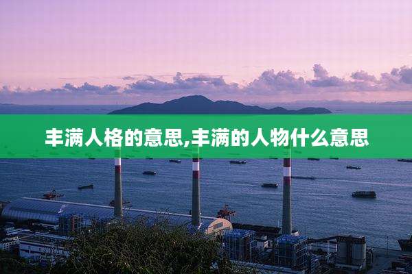 丰满人格的意思,丰满的人物什么意思