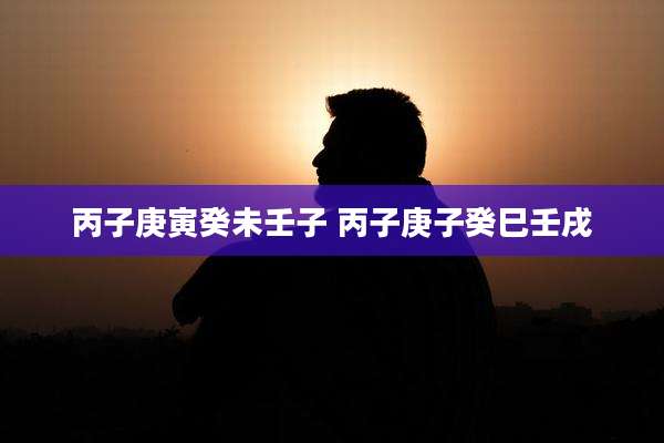 丙子庚寅癸未壬子 丙子庚子癸巳壬戌