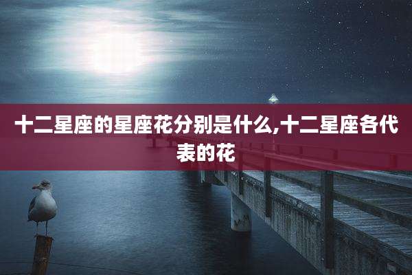 十二星座的星座花分别是什么,十二星座各代表的花