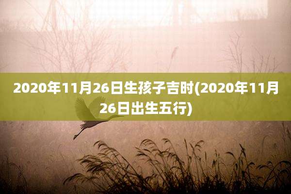 2020年11月26日生孩子吉时(2020年11月26日出生五行)
