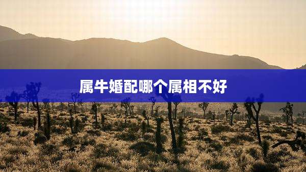 属牛婚配哪个属相不好