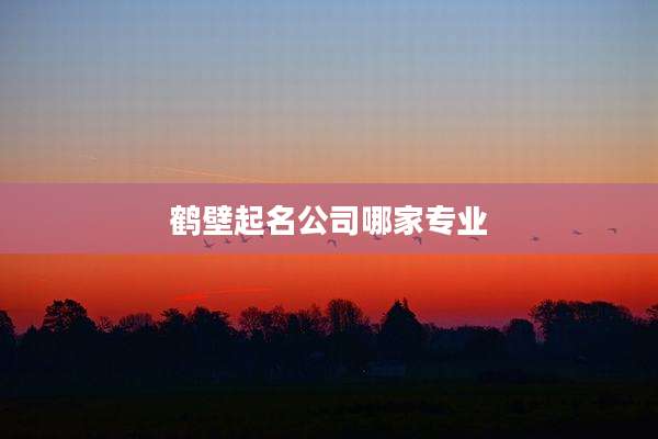鹤壁起名公司哪家专业