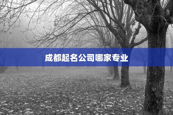 成都起名公司哪家专业
