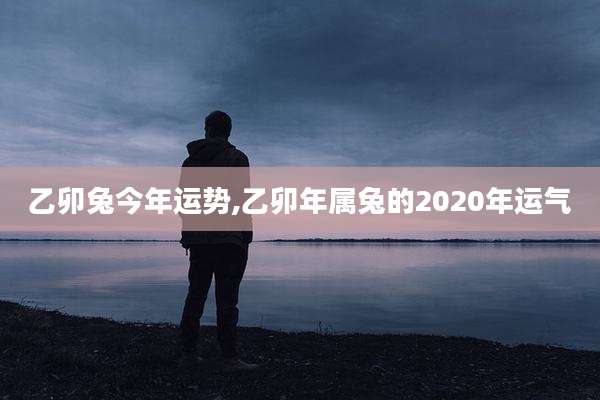 乙卯兔今年运势,乙卯年属兔的2020年运气