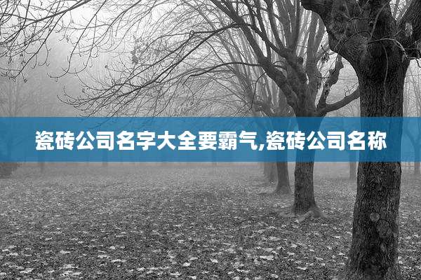 瓷砖公司名字大全要霸气,瓷砖公司名称