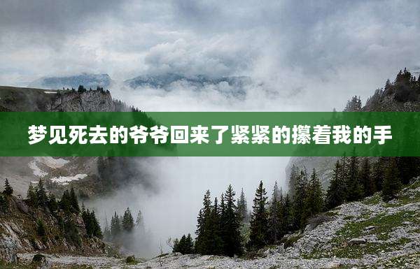 梦见死去的爷爷回来了紧紧的攥着我的手