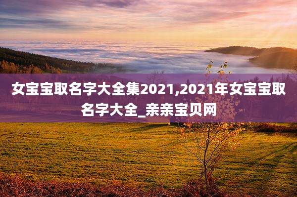 女宝宝取名字大全集2021,2021年女宝宝取名字大全_亲亲宝贝网