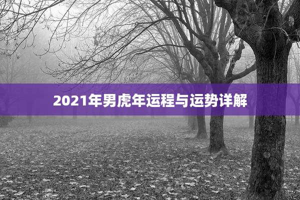 2021年男虎年运程与运势详解