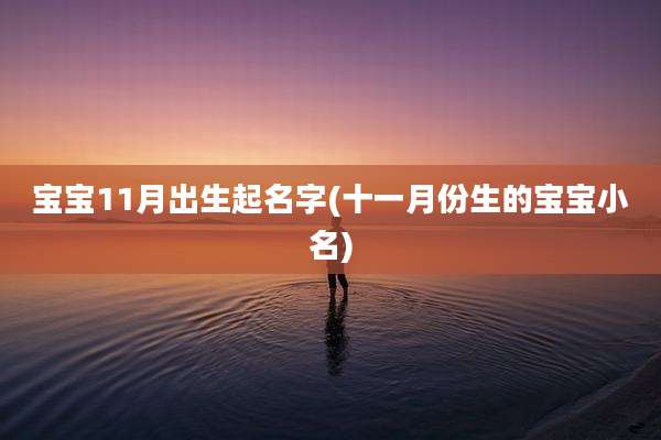 宝宝11月出生起名字(十一月份生的宝宝小名)