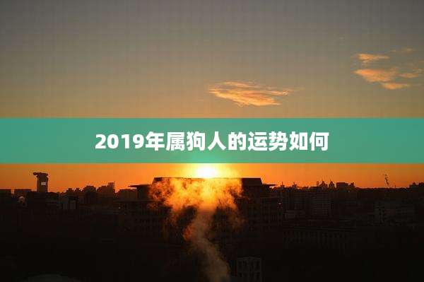 2019年属狗人的运势如何