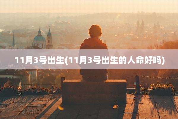 11月3号出生(11月3号出生的人命好吗)