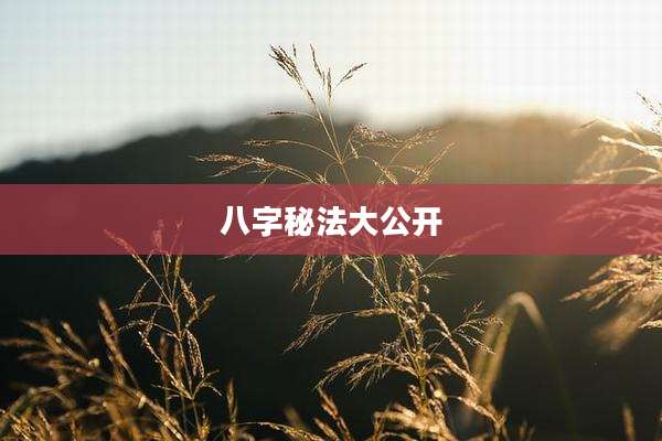 八字秘法大公开