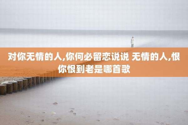 对你无情的人,你何必留恋说说 无情的人,恨你恨到老是哪首歌