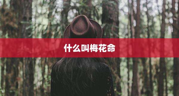 什么叫梅花命