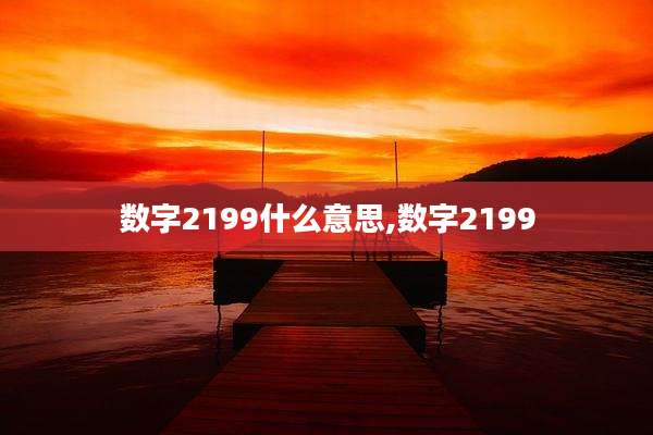 数字2199什么意思,数字2199