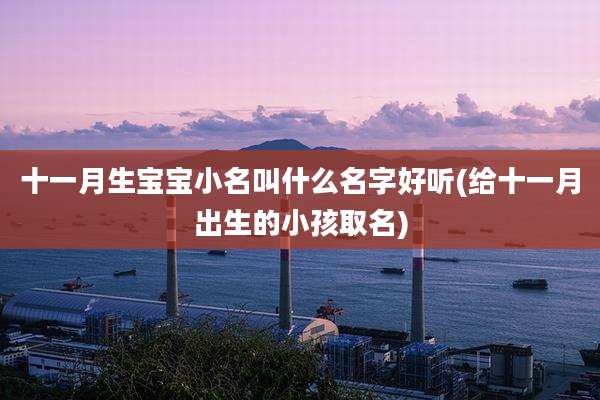 十一月生宝宝小名叫什么名字好听(给十一月出生的小孩取名)