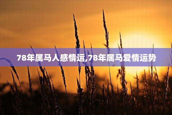 78年属马人感情运,78年属马爱情运势