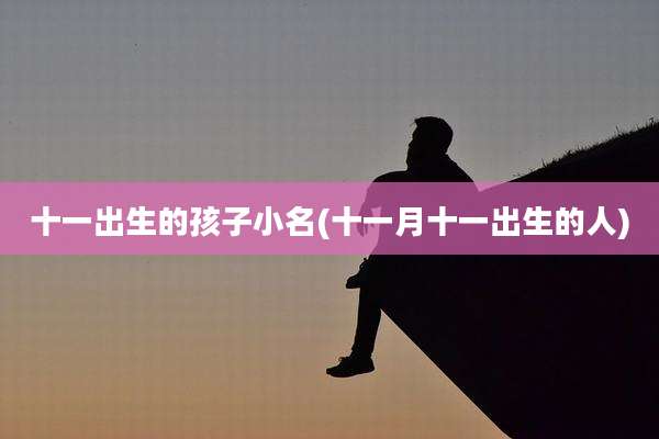 十一出生的孩子小名(十一月十一出生的人)