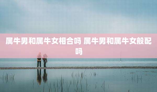 属牛男和属牛女相合吗 属牛男和属牛女般配吗
