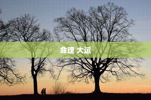 命理 大运