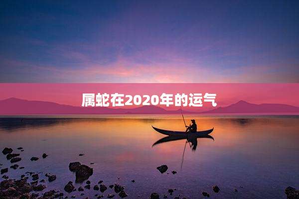 属蛇在2020年的运气