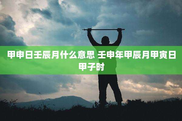 甲申日壬辰月什么意思 壬申年甲辰月甲寅日甲子时