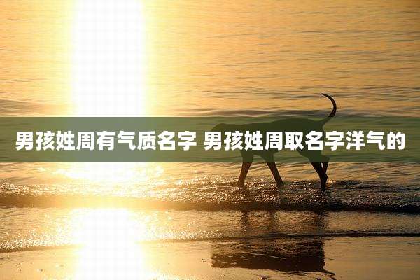 男孩姓周有气质名字 男孩姓周取名字洋气的