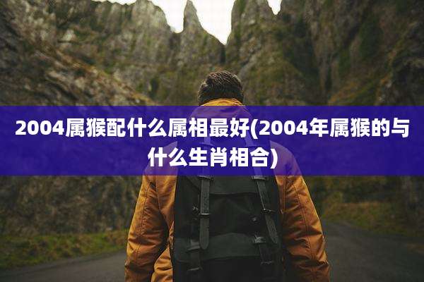2004属猴配什么属相最好(2004年属猴的与什么生肖相合)