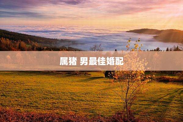 属猪 男最佳婚配
