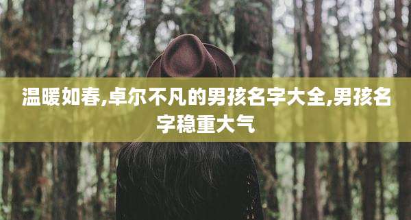 温暖如春,卓尔不凡的男孩名字大全,男孩名字稳重大气