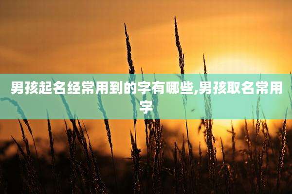 男孩起名经常用到的字有哪些,男孩取名常用字