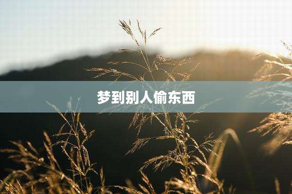 梦到别人偷东西