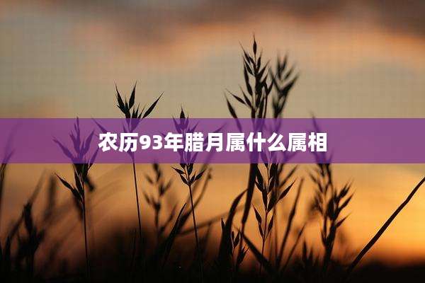 农历93年腊月属什么属相