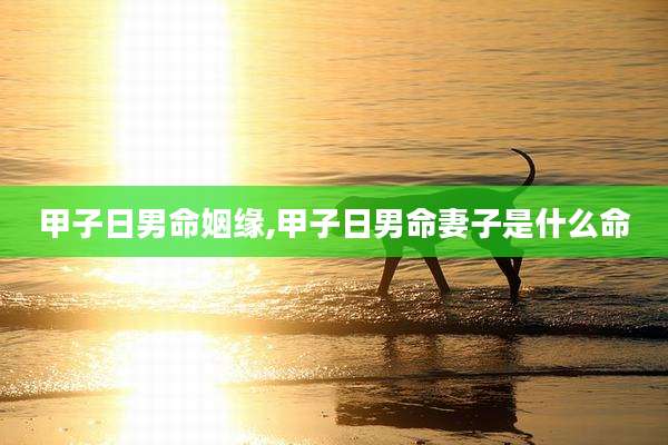 甲子日男命姻缘,甲子日男命妻子是什么命