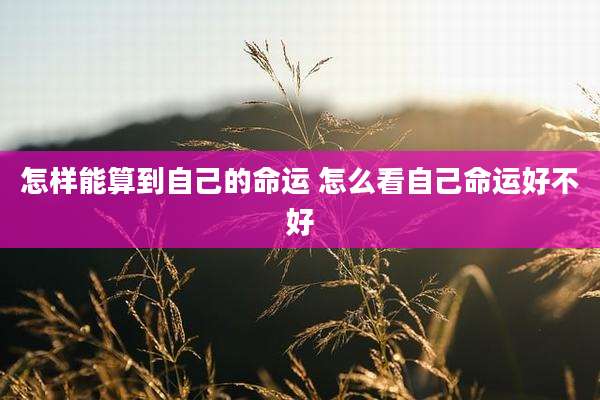 怎样能算到自己的命运 怎么看自己命运好不好