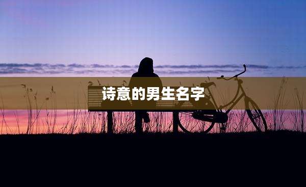 诗意的男生名字