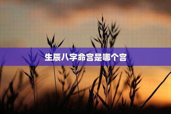 生辰八字命宫是哪个宫