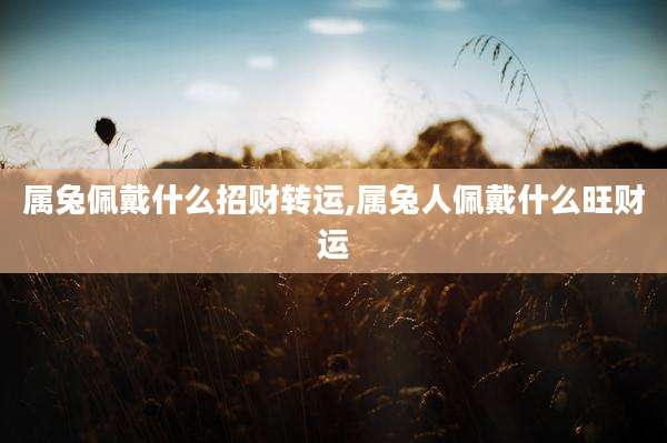 属兔佩戴什么招财转运,属兔人佩戴什么旺财运