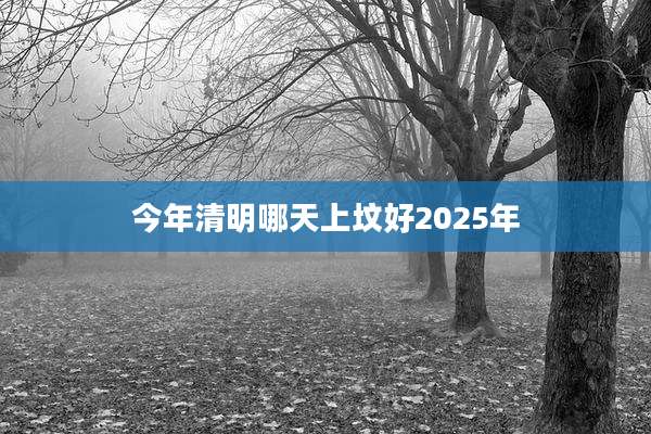 今年清明哪天上坟好2025年