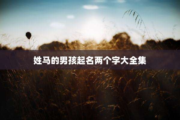 姓马的男孩起名两个字大全集