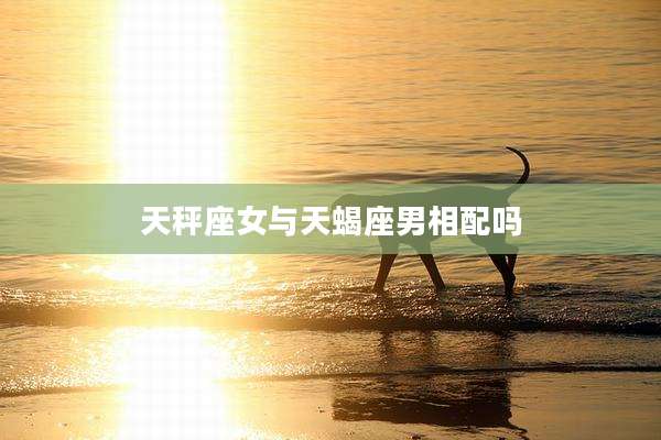 天秤座女与天蝎座男相配吗