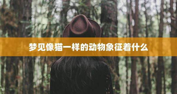 梦见像猫一样的动物象征着什么
