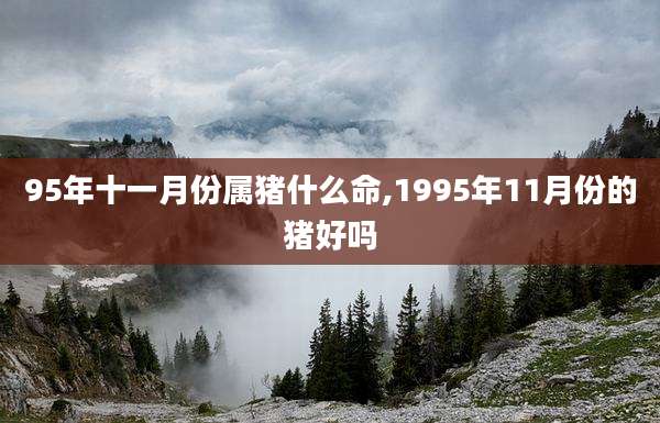 95年十一月份属猪什么命,1995年11月份的猪好吗