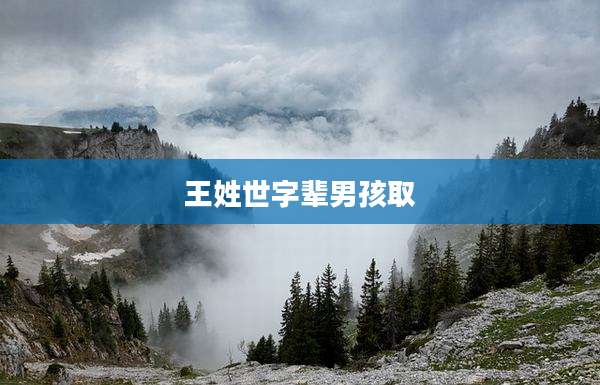 王姓世字辈男孩取