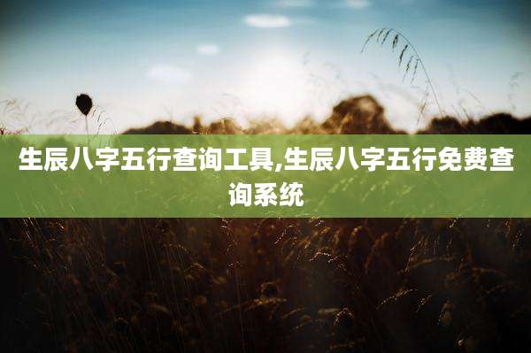生辰八字五行查询工具,生辰八字五行免费查询系统